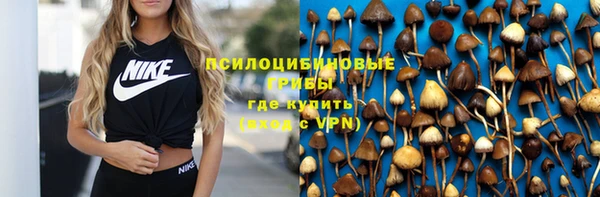 твердый Братск
